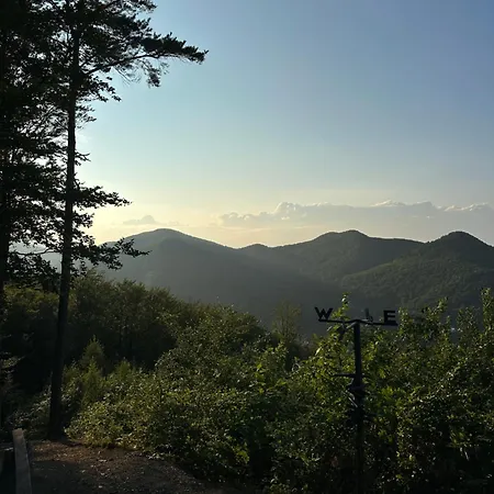 Vila володар